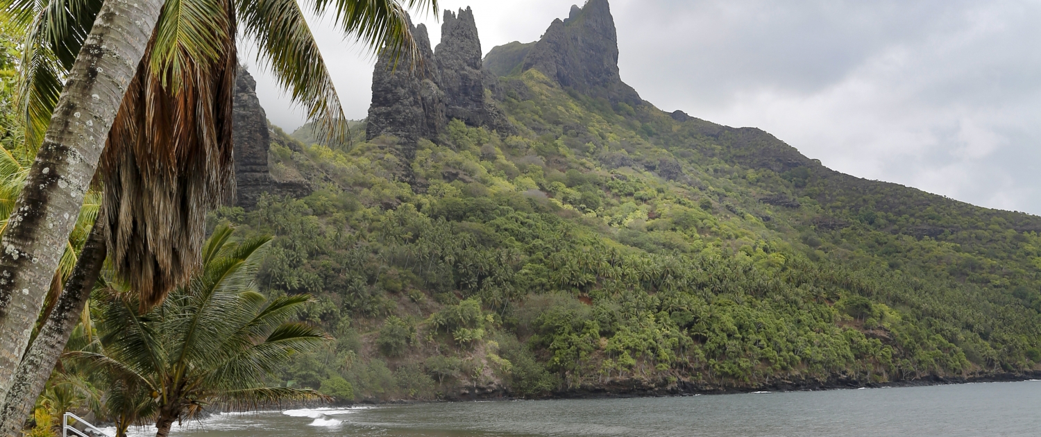 N96 VIVIERAE - Nuku Hiva15
